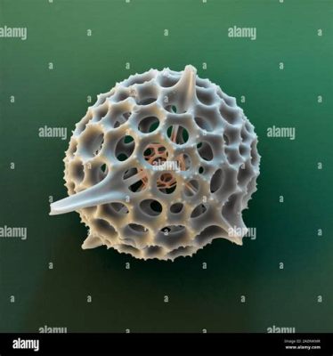  Radiolaria: A Single-Celled Enigma Dwelling in Ocean Depths!